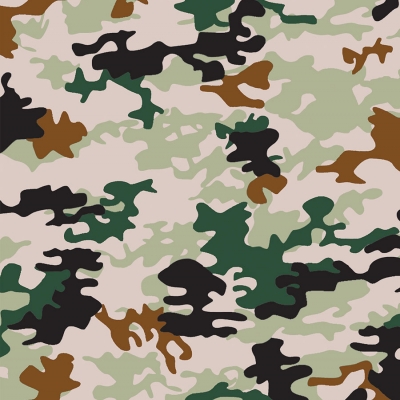 Artigo INF 1853 Cor01